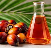 Crude Palm Oil (CPO)
